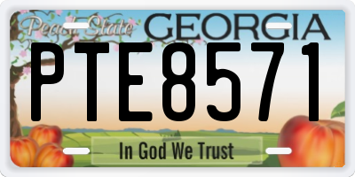 GA license plate PTE8571