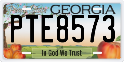 GA license plate PTE8573