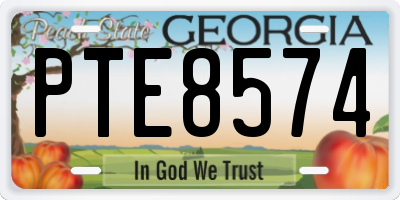 GA license plate PTE8574
