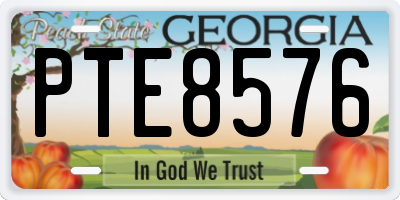 GA license plate PTE8576