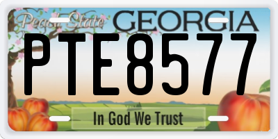 GA license plate PTE8577
