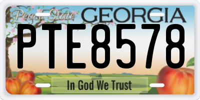 GA license plate PTE8578