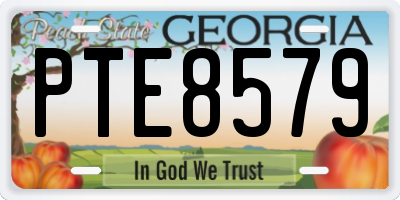 GA license plate PTE8579