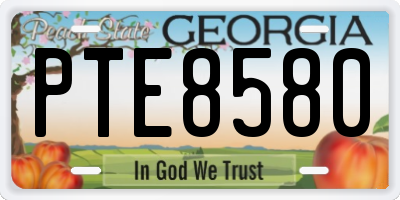 GA license plate PTE8580