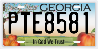 GA license plate PTE8581