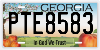 GA license plate PTE8583