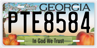 GA license plate PTE8584