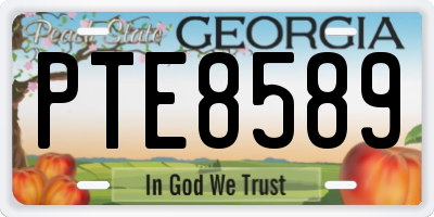 GA license plate PTE8589