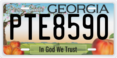 GA license plate PTE8590