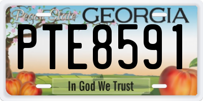 GA license plate PTE8591