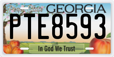 GA license plate PTE8593