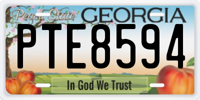 GA license plate PTE8594