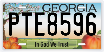GA license plate PTE8596