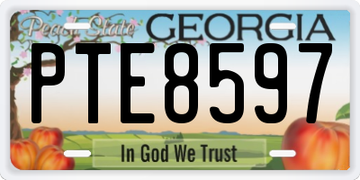 GA license plate PTE8597