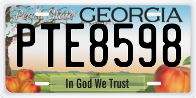 GA license plate PTE8598