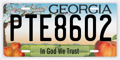 GA license plate PTE8602