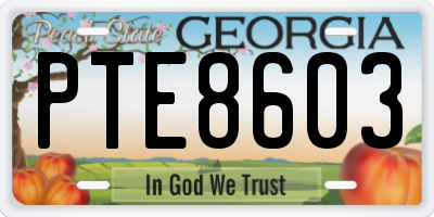GA license plate PTE8603