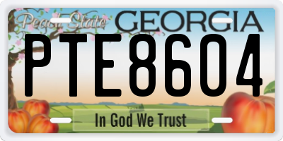 GA license plate PTE8604