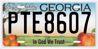 GA license plate PTE8607