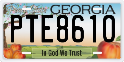 GA license plate PTE8610