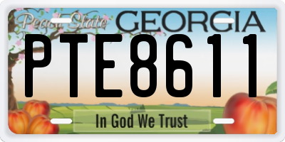 GA license plate PTE8611