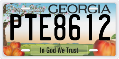 GA license plate PTE8612