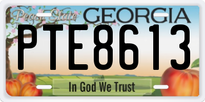 GA license plate PTE8613
