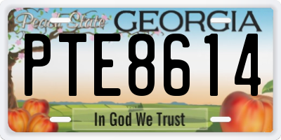 GA license plate PTE8614
