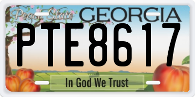 GA license plate PTE8617