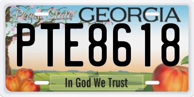 GA license plate PTE8618