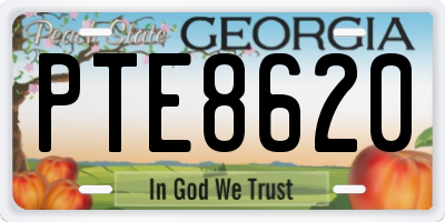 GA license plate PTE8620