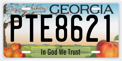 GA license plate PTE8621
