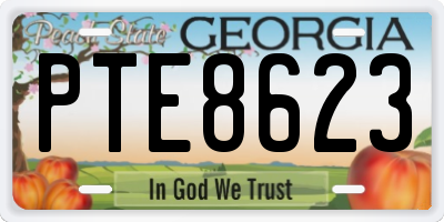 GA license plate PTE8623