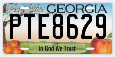 GA license plate PTE8629
