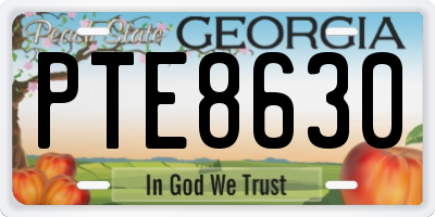 GA license plate PTE8630