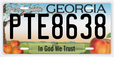 GA license plate PTE8638