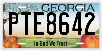 GA license plate PTE8642