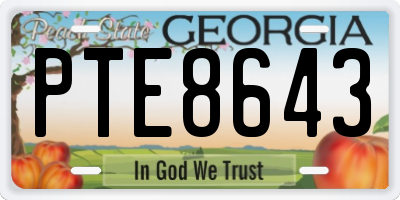 GA license plate PTE8643