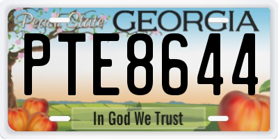 GA license plate PTE8644