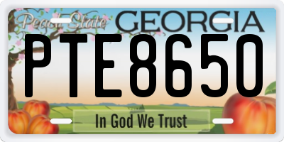 GA license plate PTE8650