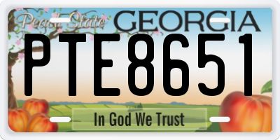 GA license plate PTE8651