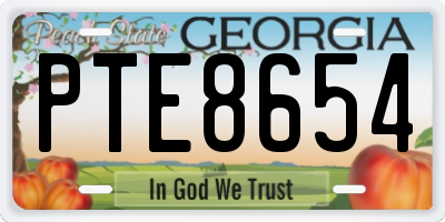 GA license plate PTE8654