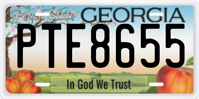 GA license plate PTE8655