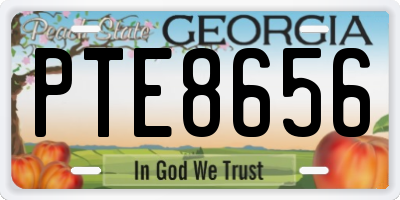 GA license plate PTE8656