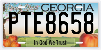 GA license plate PTE8658