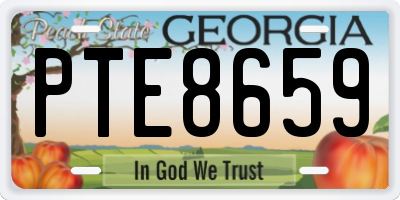 GA license plate PTE8659