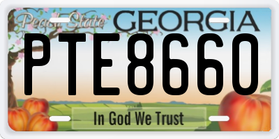 GA license plate PTE8660