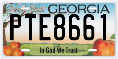 GA license plate PTE8661