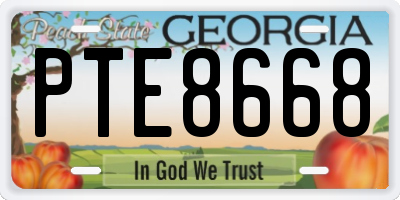 GA license plate PTE8668