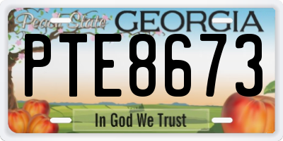 GA license plate PTE8673